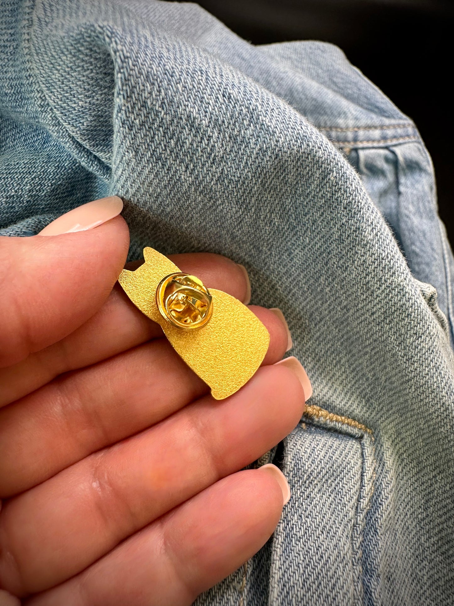 Please Adopt (Black Cats) Pin